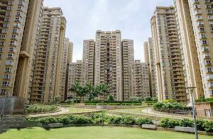 Nikoo1 , 1.5 BHK , Available for Sale