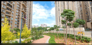 Studio Flat is On Rent At Nikoo Homes -2