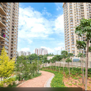 Studio Flat is On Rent At Nikoo Homes -2