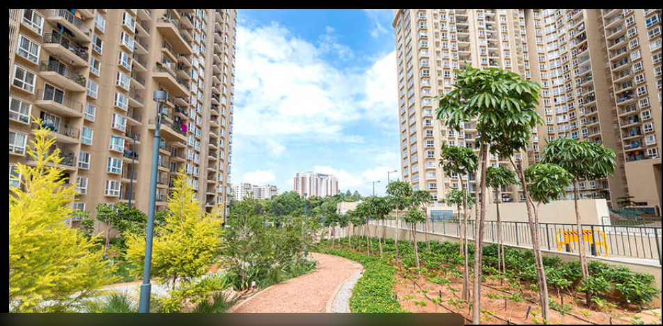 Studio Flat is On Rent At Nikoo Homes -2